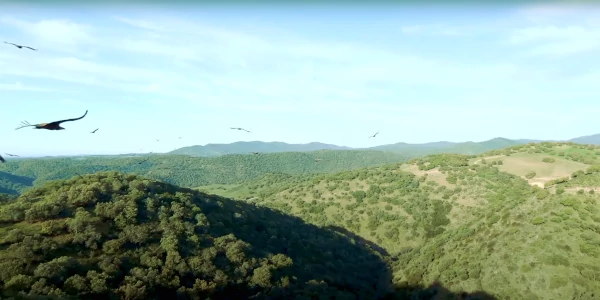 Sierra morena cerca del alojamiento rural Parque Natural Sierra Morena de Sevilla